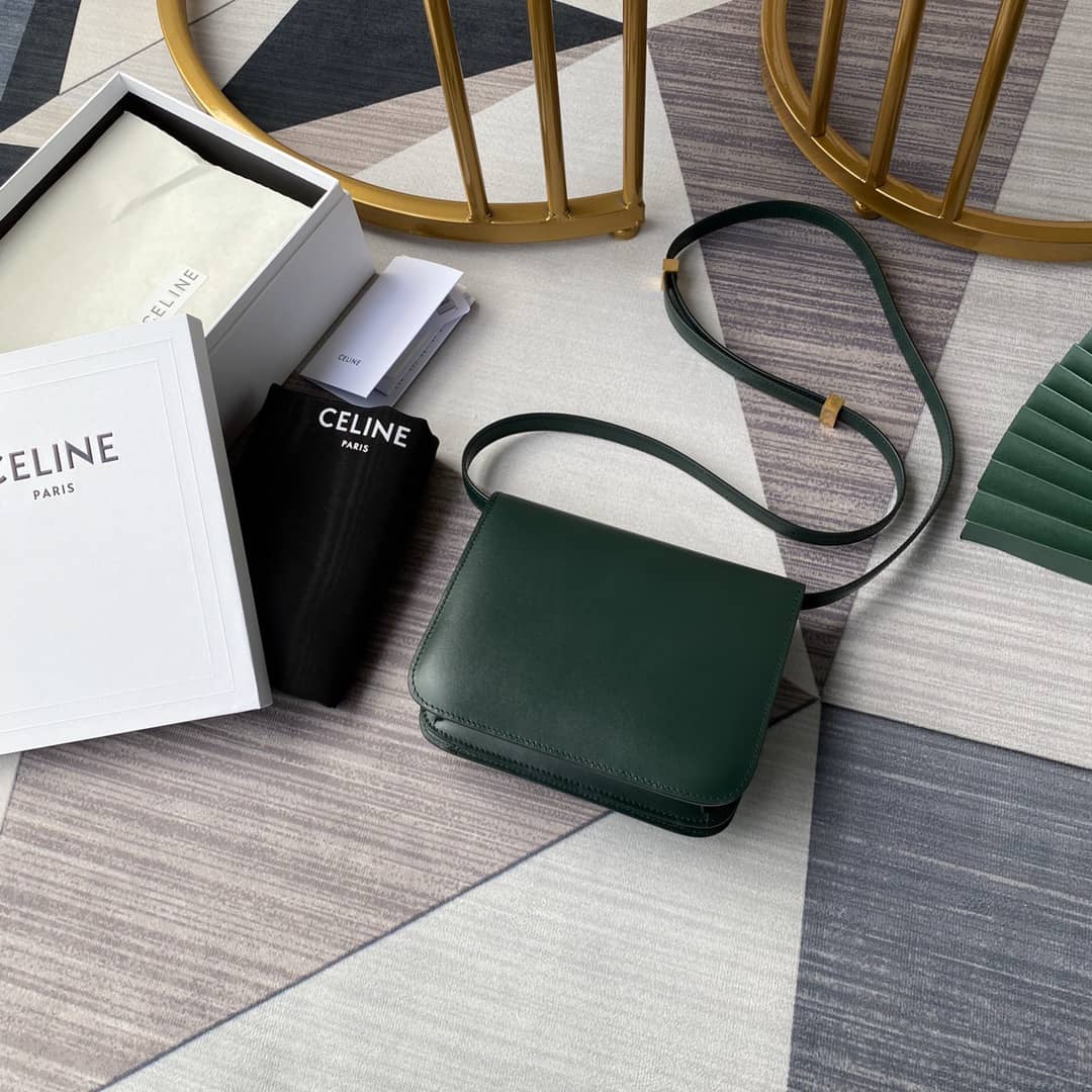 Ce1i*e Bag Dupe  Triomphe Teen 18.5CM