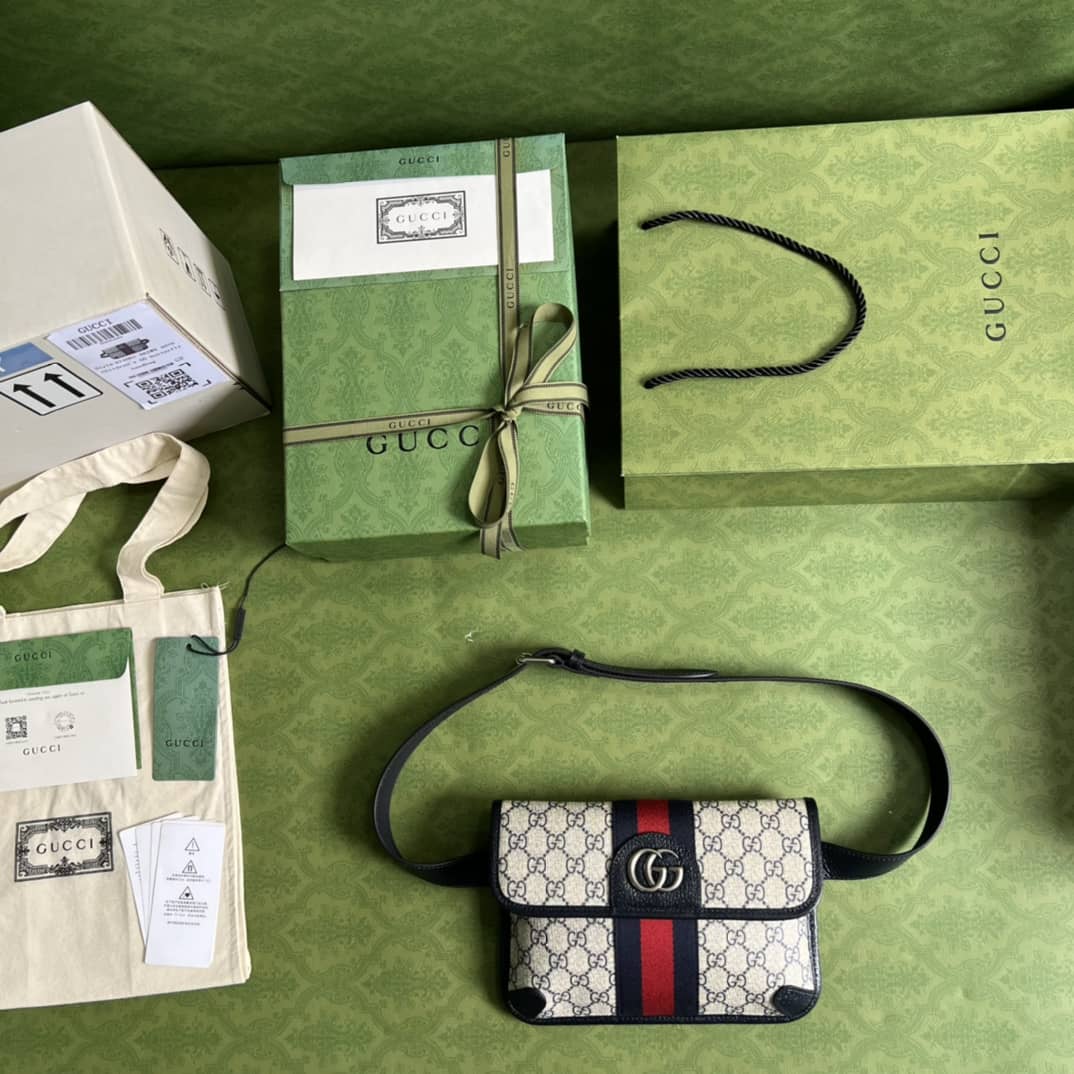 Gvc*1 Ophidia Belt Bag 674081 Replica
