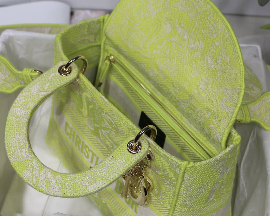 Lady D10r Dupe 24CM Paisley Embroidery Lady D-Lite Bag