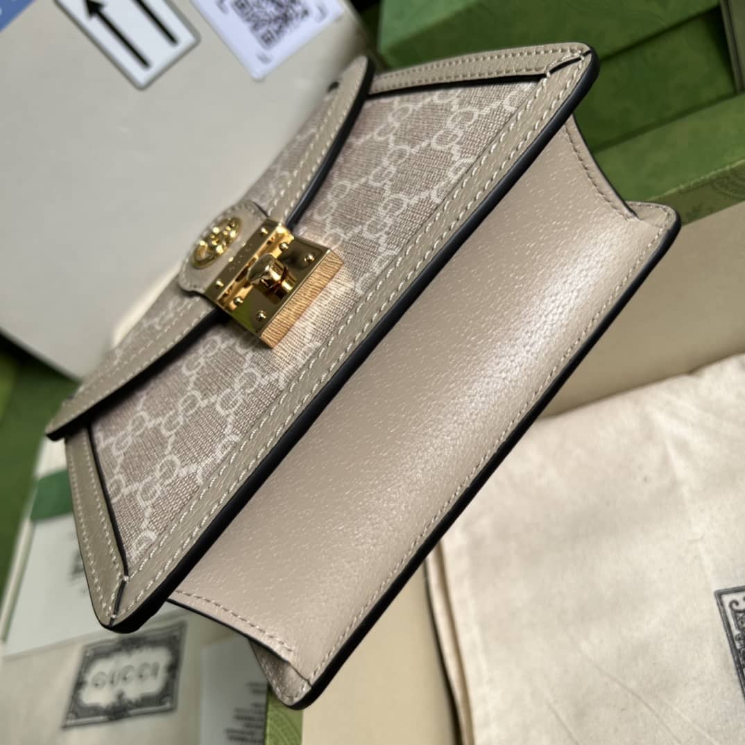 Gvc*1 Ophidia GG Mini Shoulder Crossbody Bag 696180 Replica