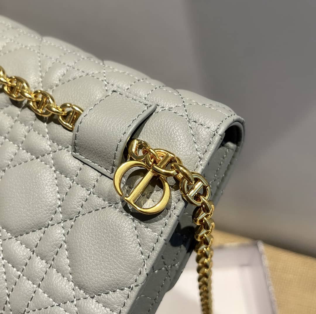 Chr1st1an D10r Caro Chain Belt Replica Pouch