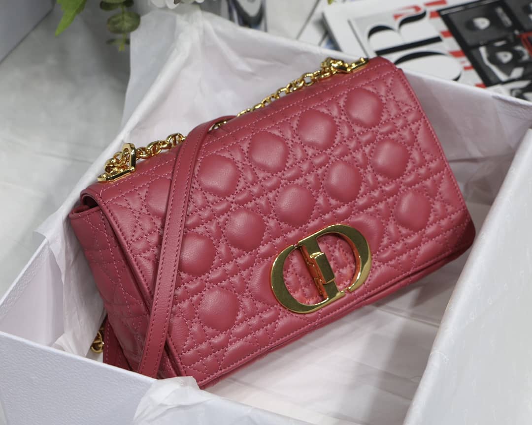 D10r Dupe Caro Bag
