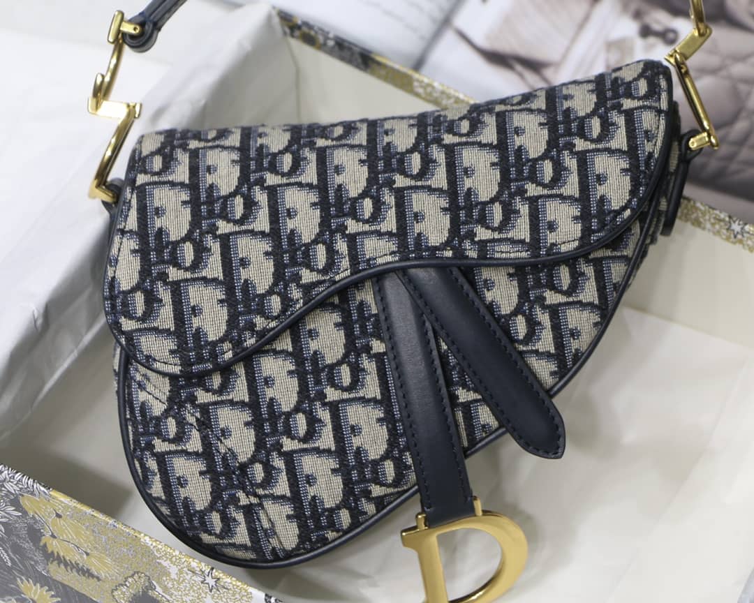 Chr1st1an D10r Replica Saddle Bag