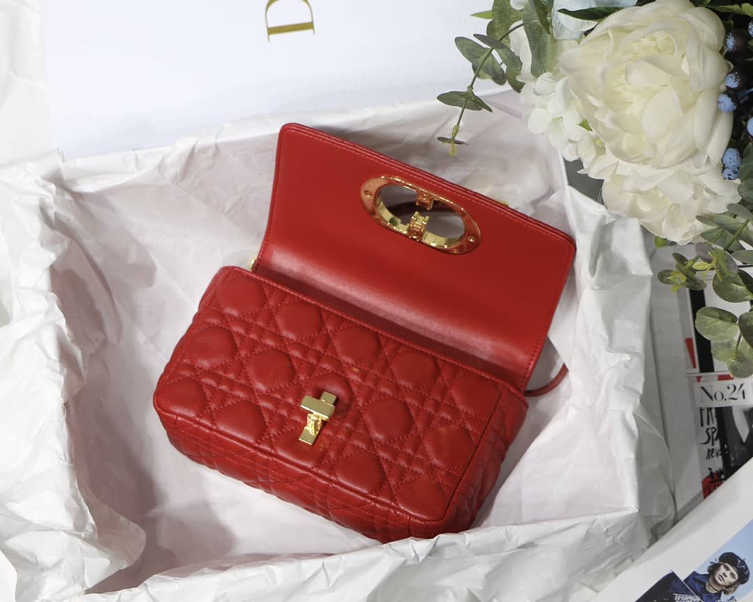 Chr1st1an D10r Caro Replica Bag