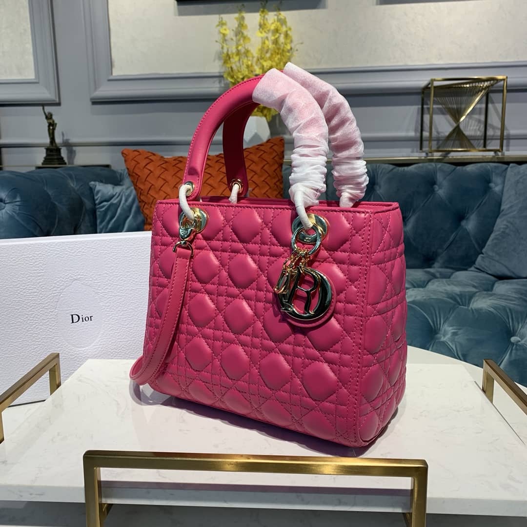 Chr1st1an D10r Lady D10r 24CM Replica Bag