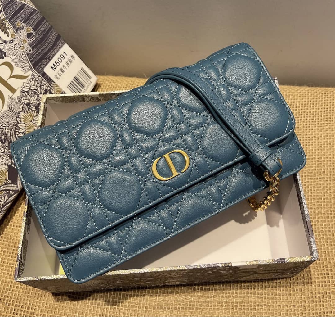 Chr1st1an D10r Caro Chain Belt Replica Pouch