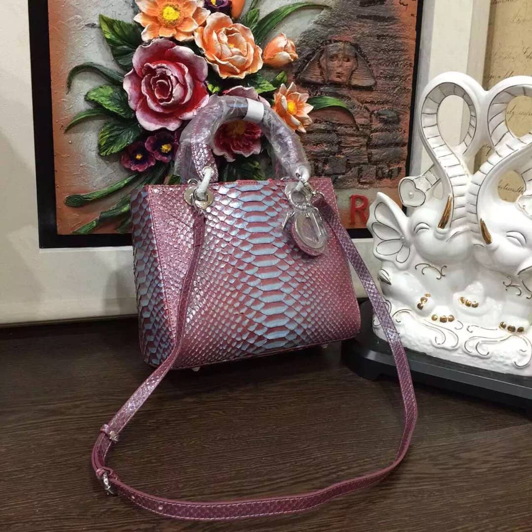 Chr1st1an D10r Lady D10r 24CM Replica Bag