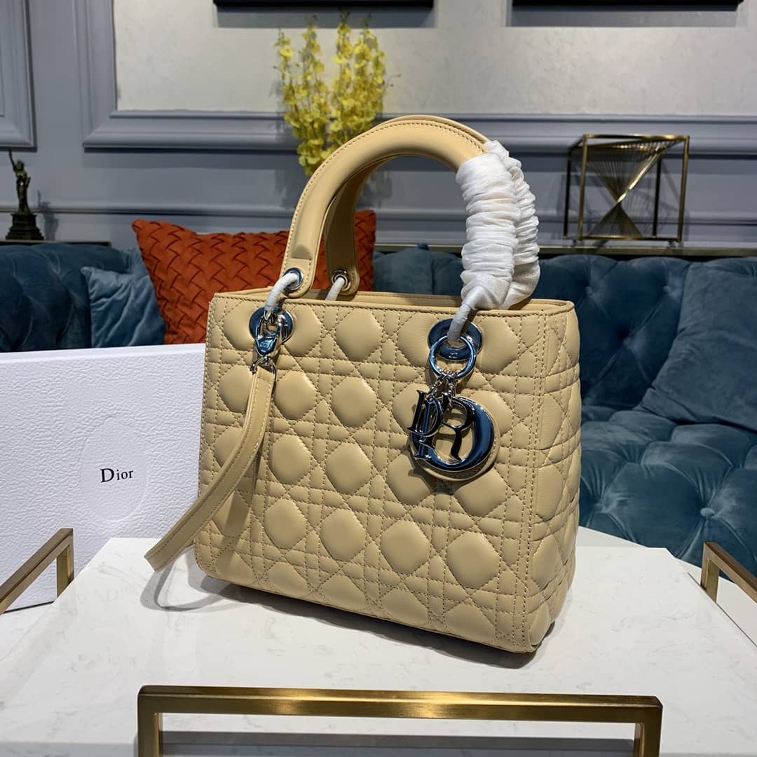 Chr1st1an D10r Lady D10r 24CM Replica Bag