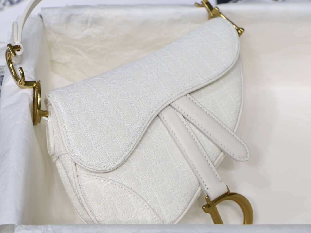 D10r Dupe Saddle Bag