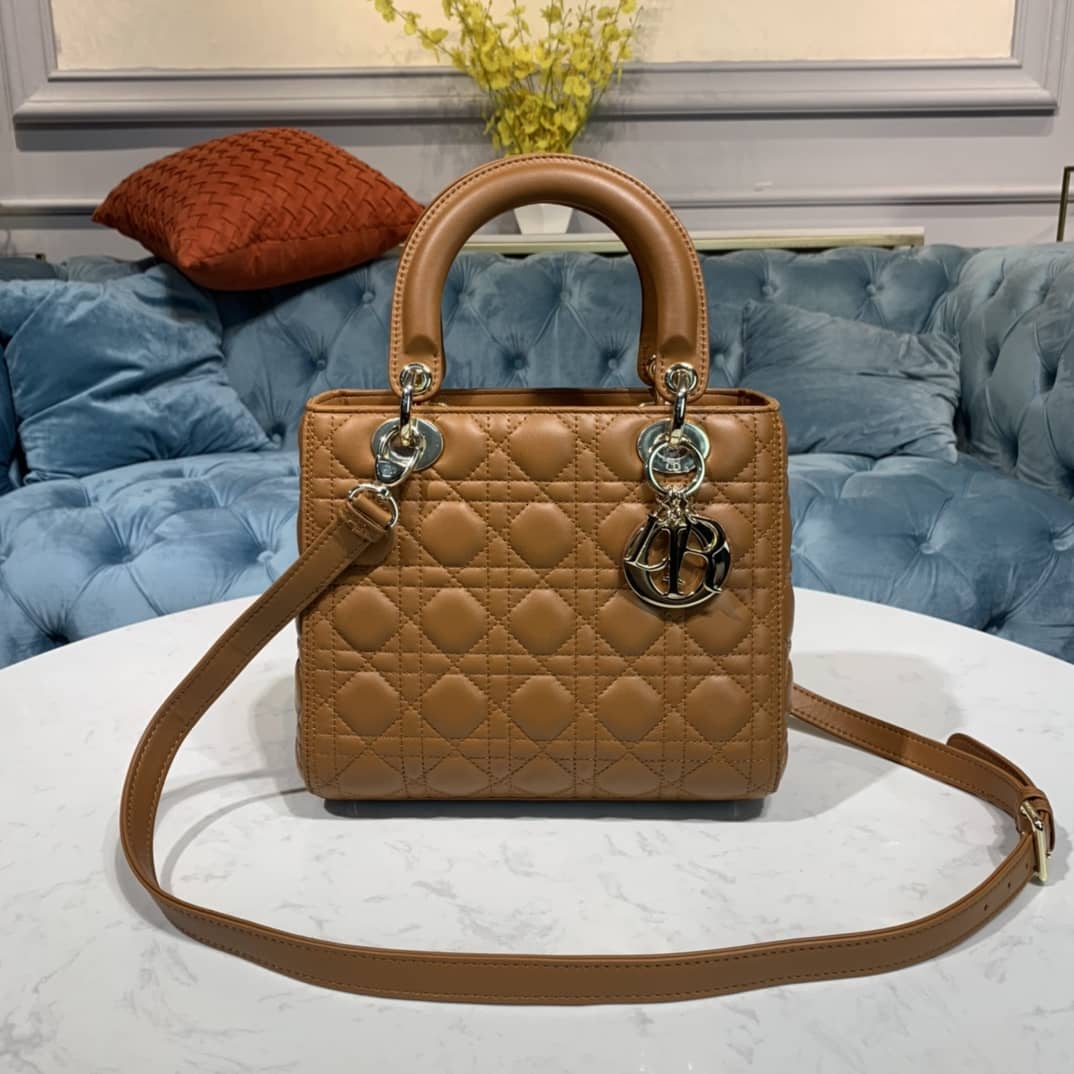 Lady D10r Dupe 24CM Replica Bag(Cola)