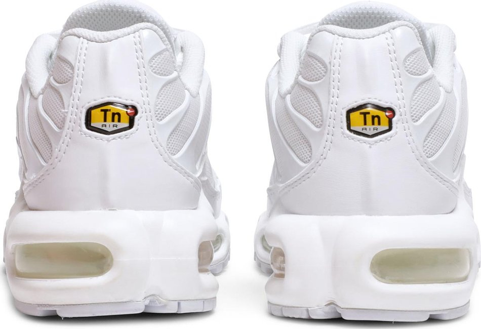 Air Max Plus  Triple White  DM2362-100