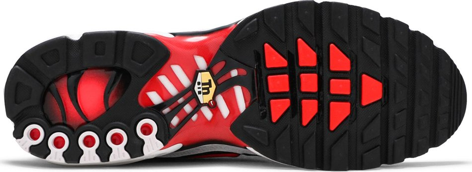 Air Max Plus  S*pernova 2020  CW6019-001