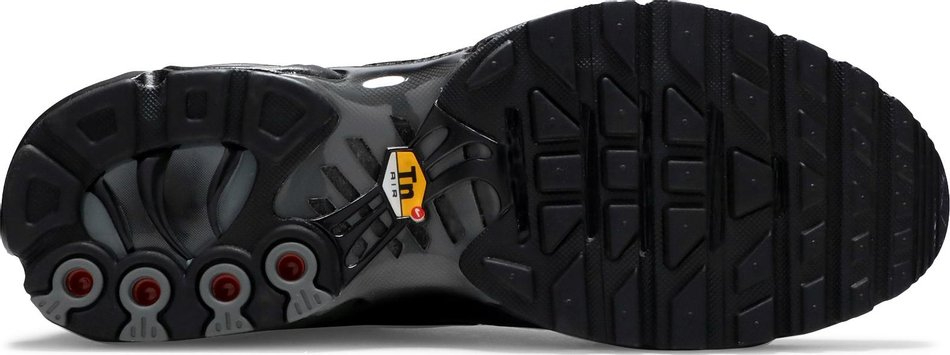Air Max Plus  Black  DD9609-001