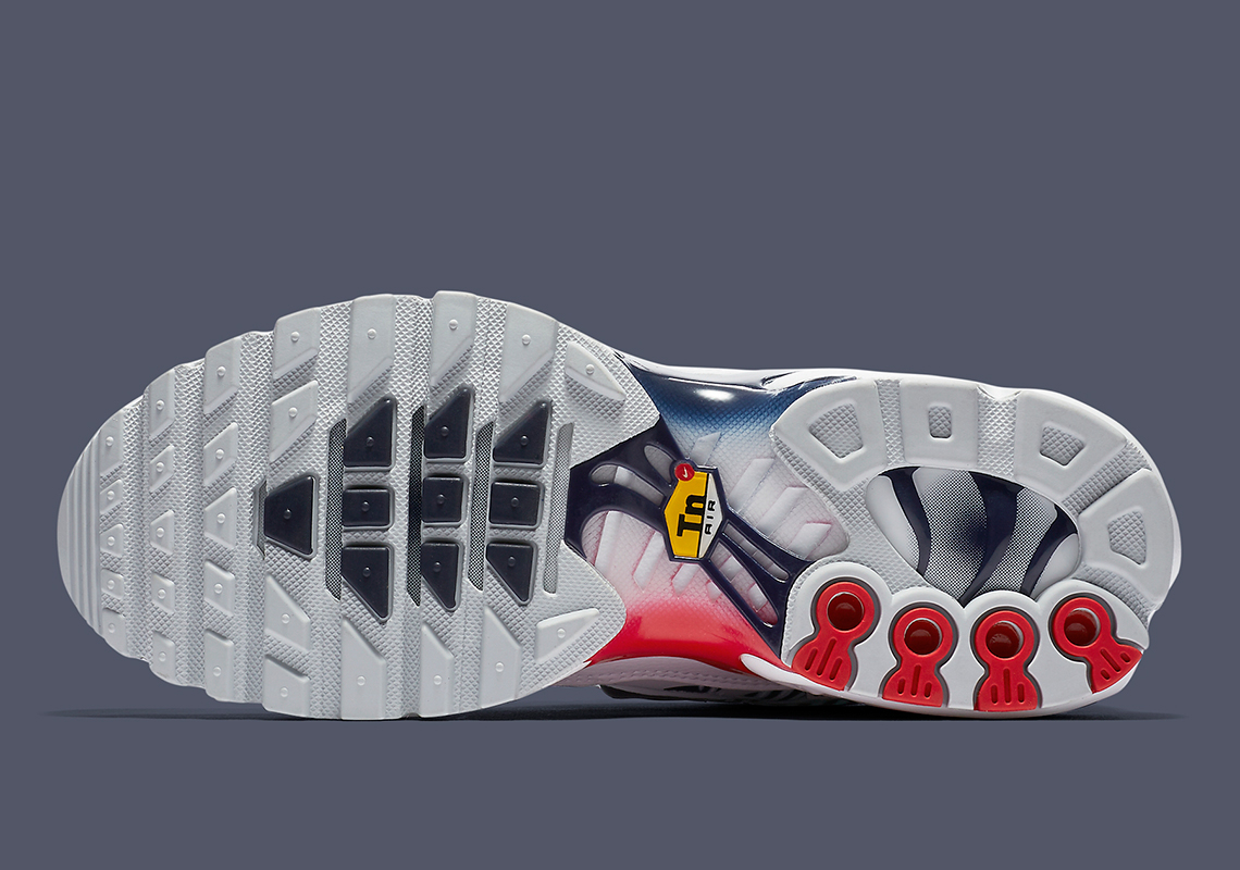 Air Max Plus  Unite Totale  CI9103-100