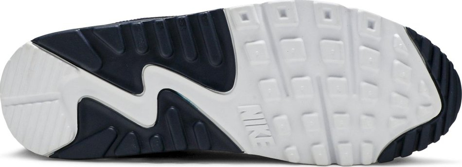 Air Max 90 Essential  Michigan  AJ1285-101