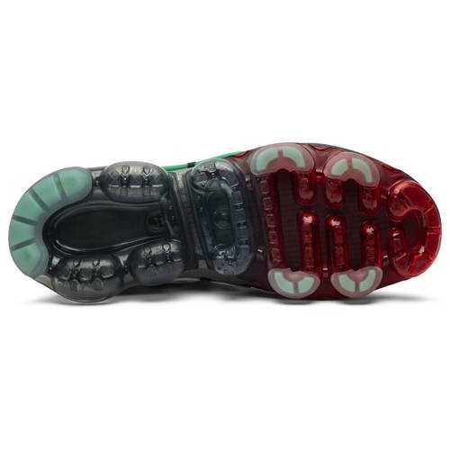 Cactus Plant Flea Market x Wmns Air VaporMax 2019 CD7001-300
