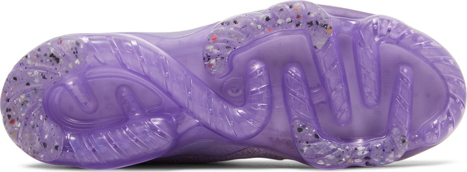 Wmns Air VaporMax 2021 Flyknit  Day to Night-Amethyst Ash  DC9454-501
