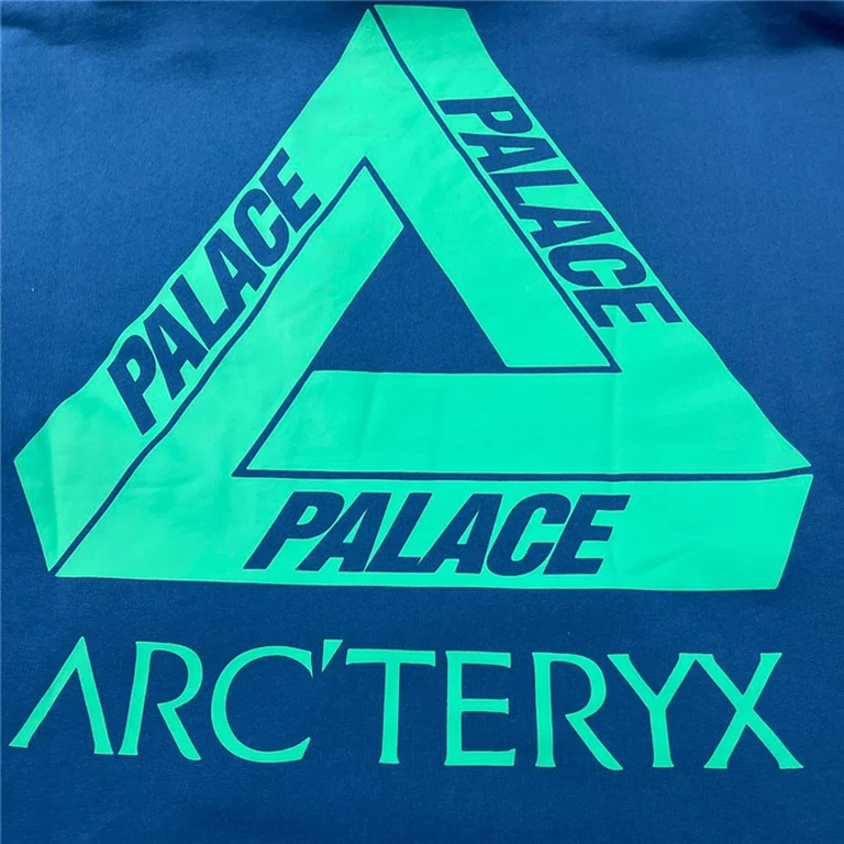 Arcteryx  Down Hoodie