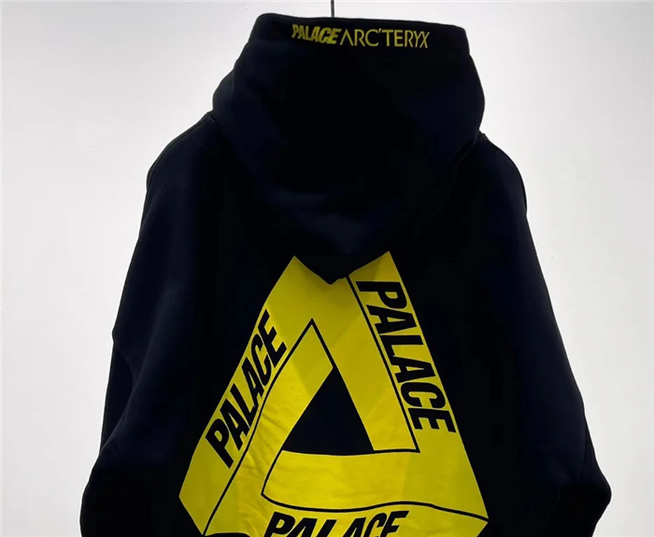 Arcteryx Down Hoodie