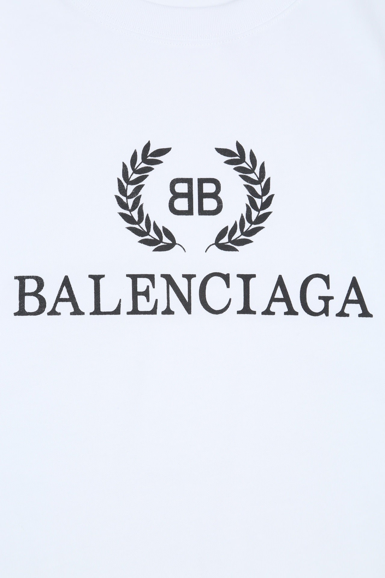 Ba1en*iaga T-shirt