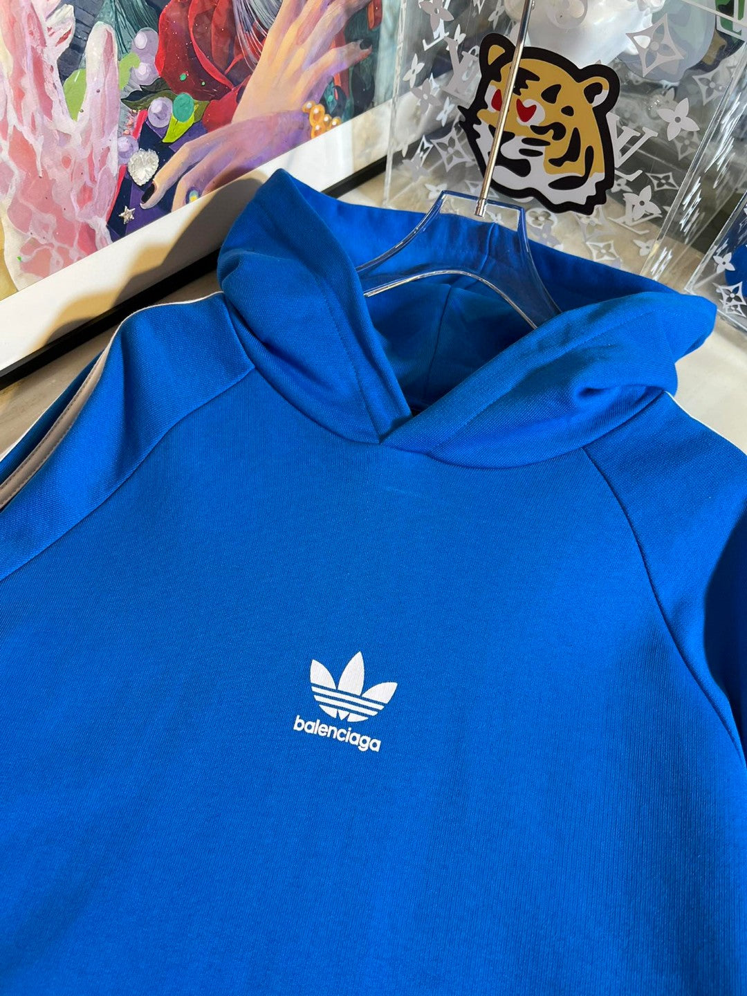 Ba1en*iaga Hoodie