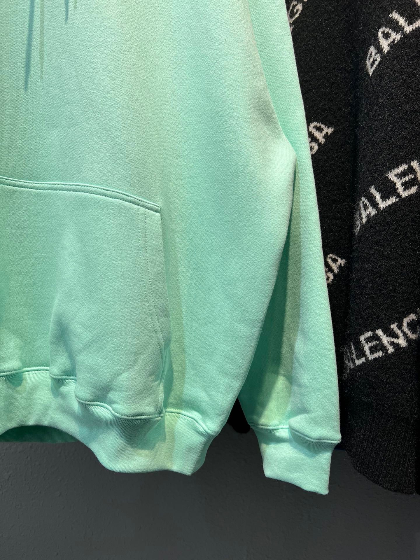 Ba1en*iaga Hoodie