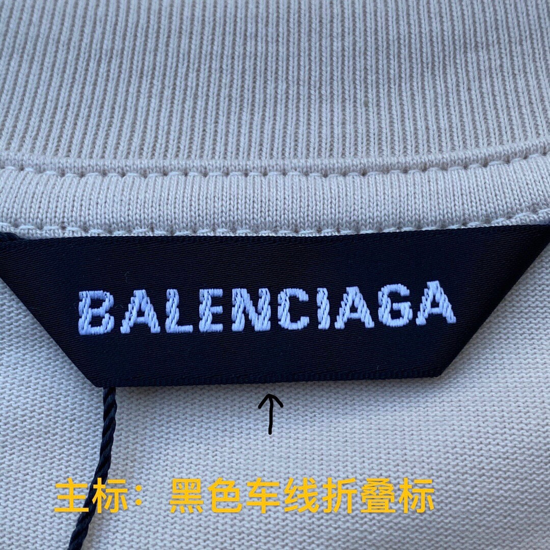 Ba1en*iaga T-shirt