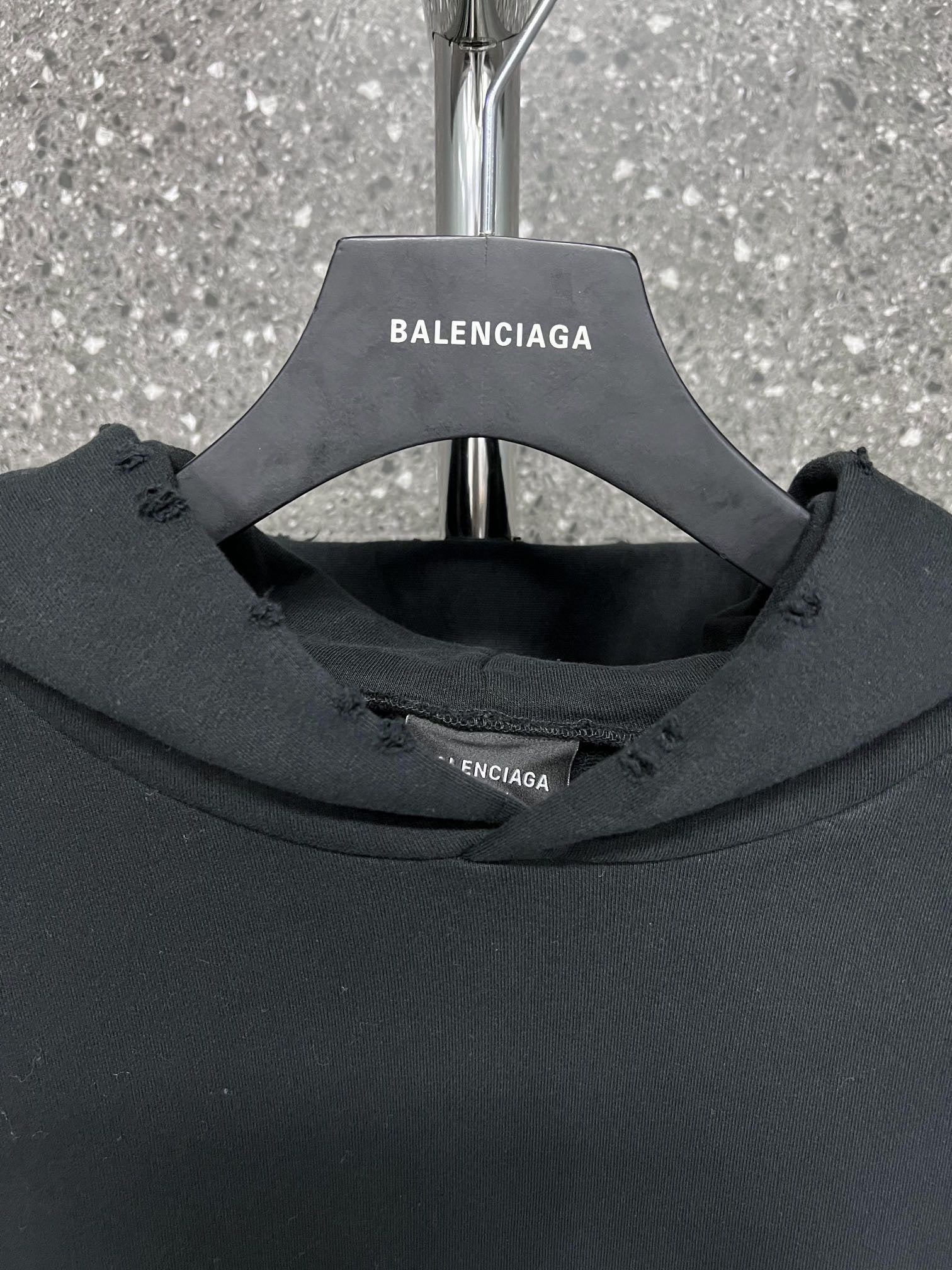 Ba1en*iaga Hoodie