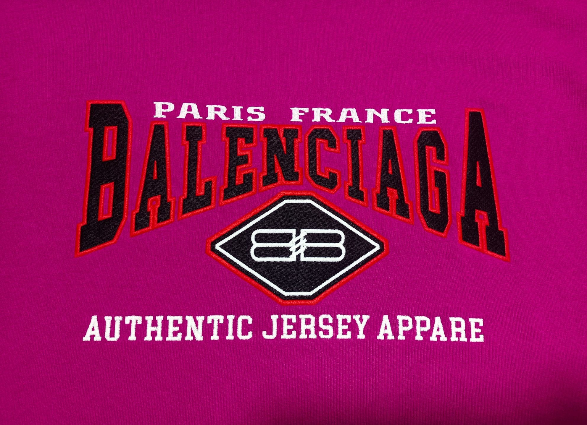 Ba1en*iaga Hoodie