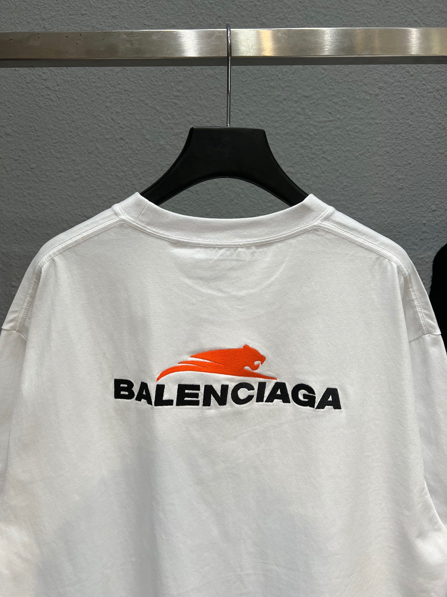Ba1en*iaga T-shirt