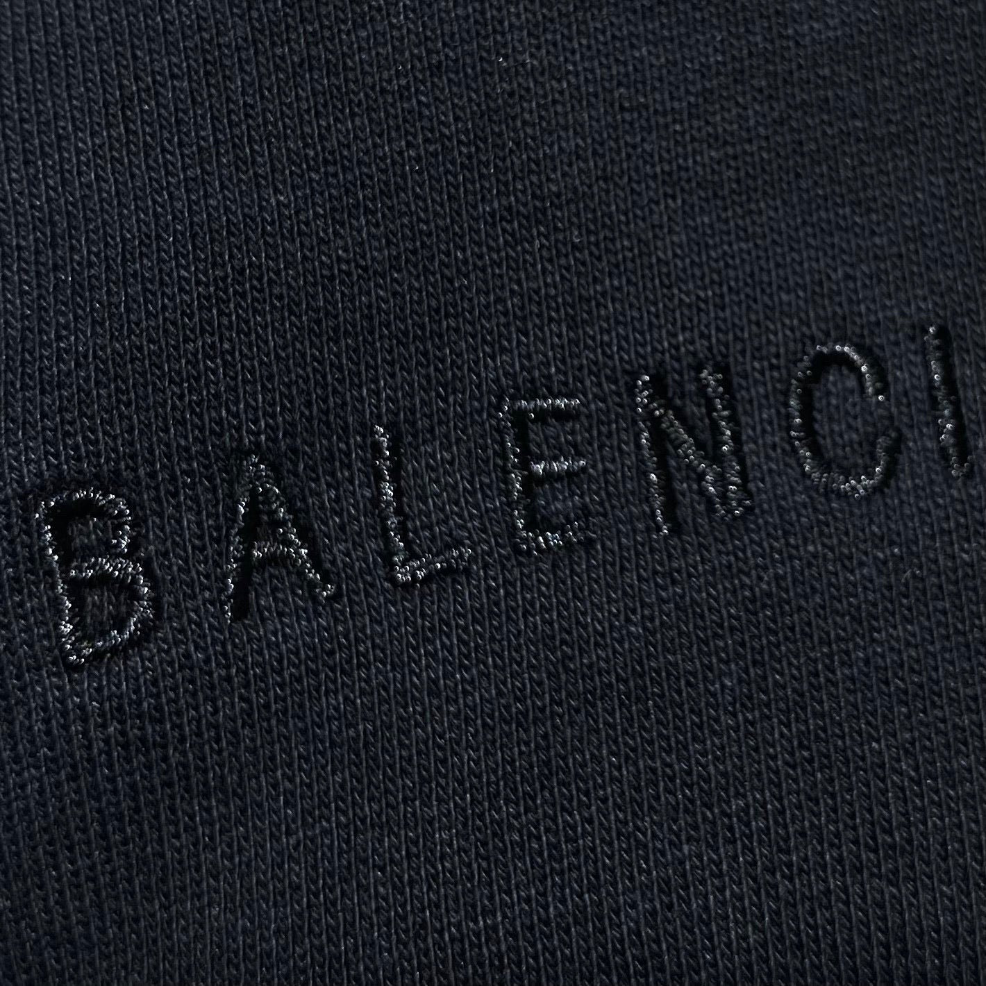 Ba1en*iaga Hoodie