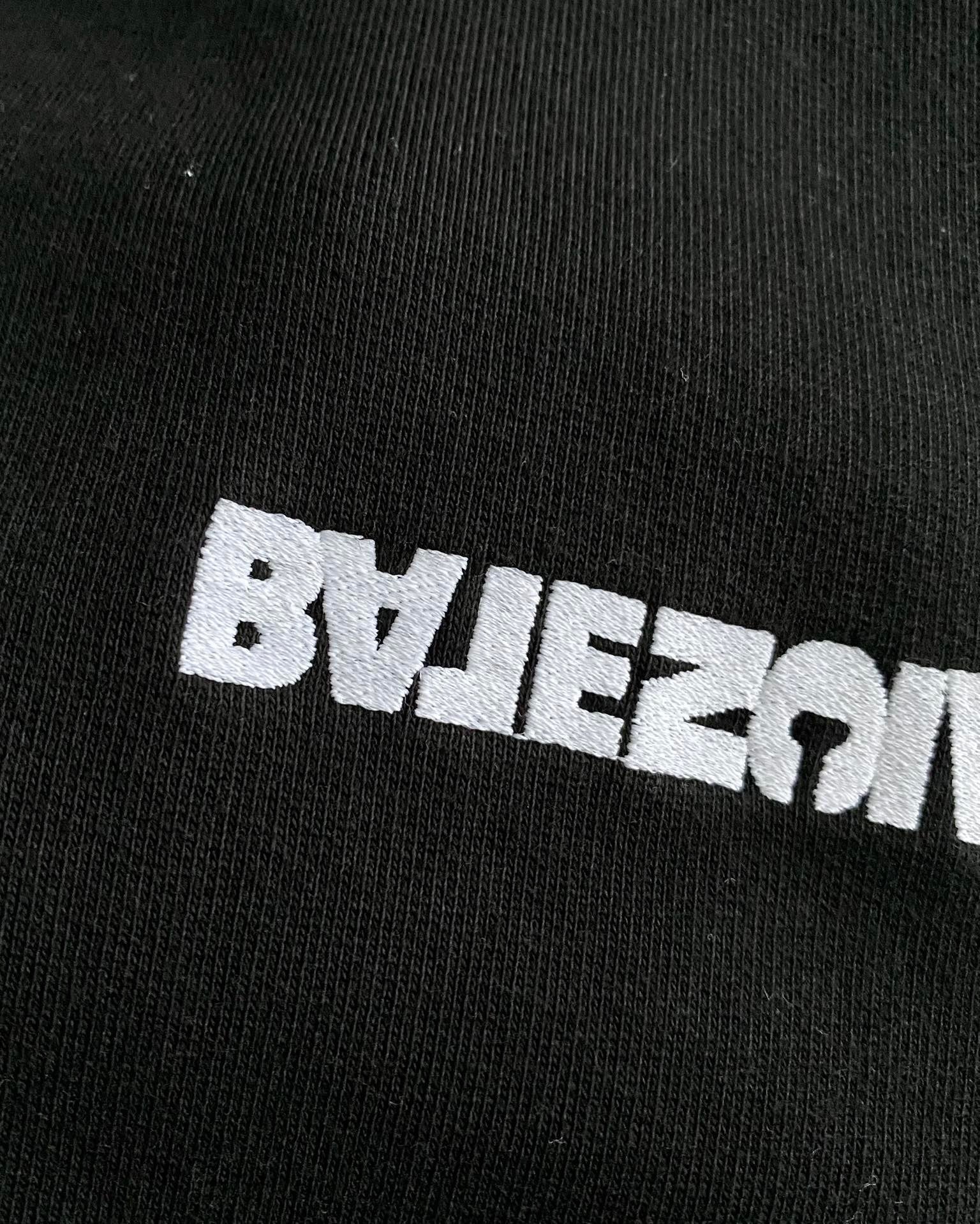 Ba1en*iaga Hoodie