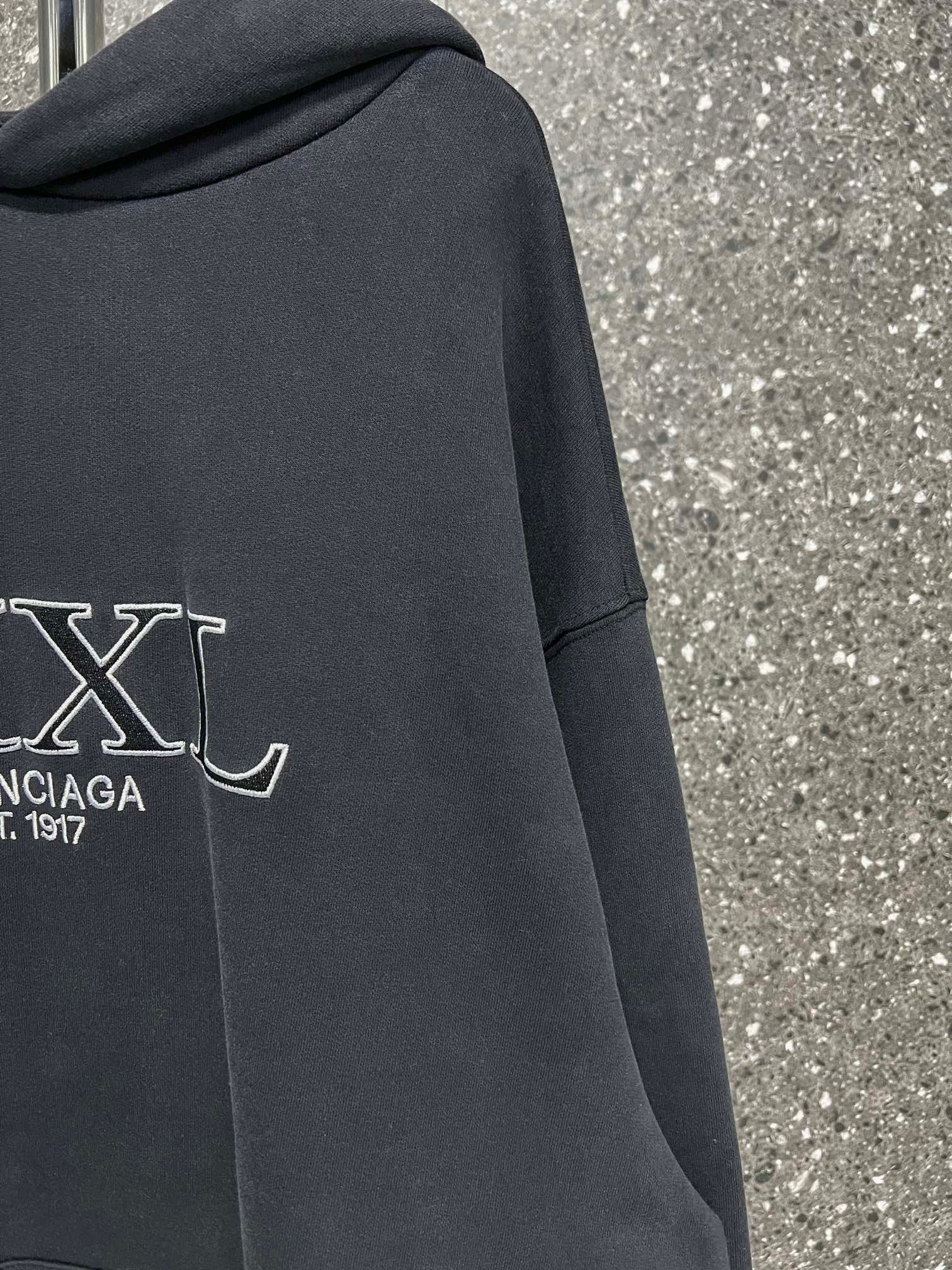 Ba1en*iaga Hoodie