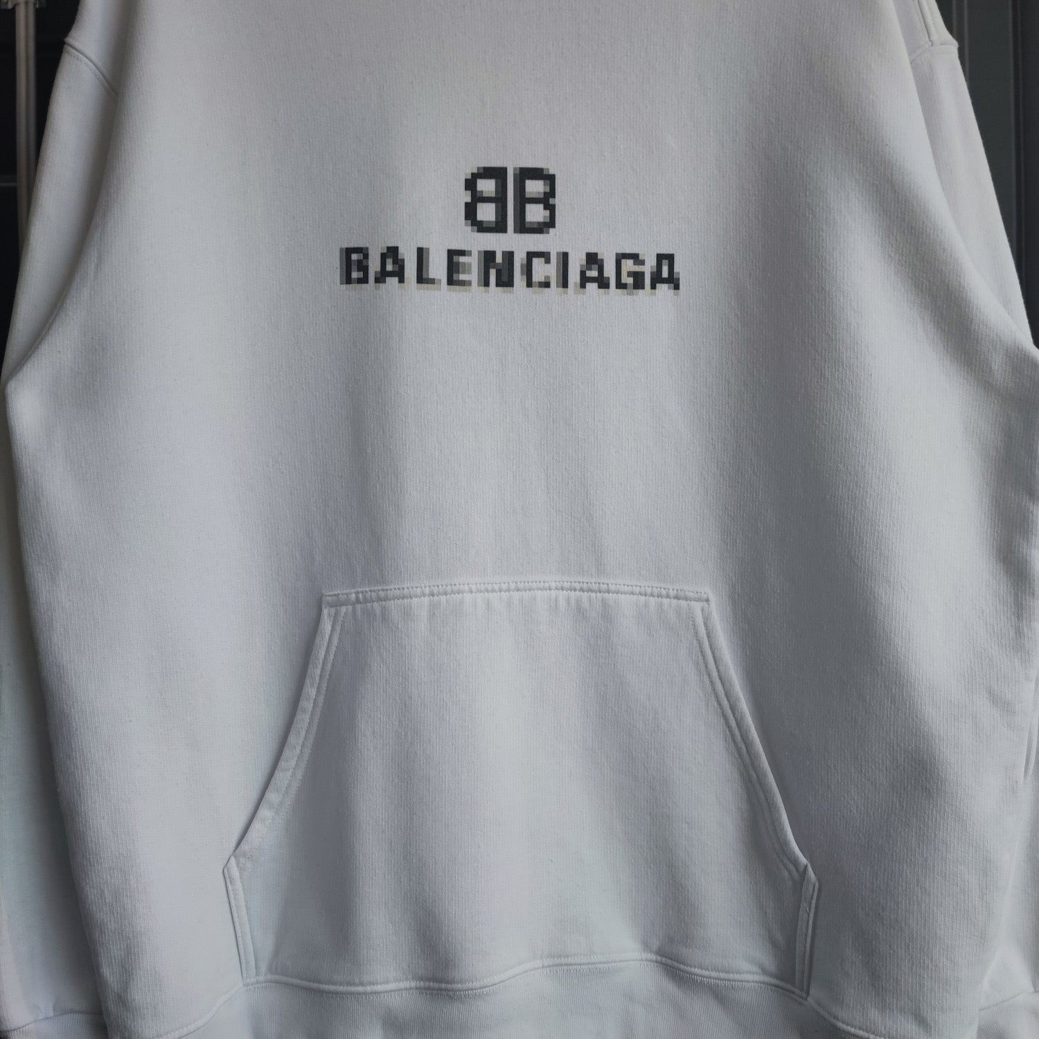 Ba1en*iaga Hoodie