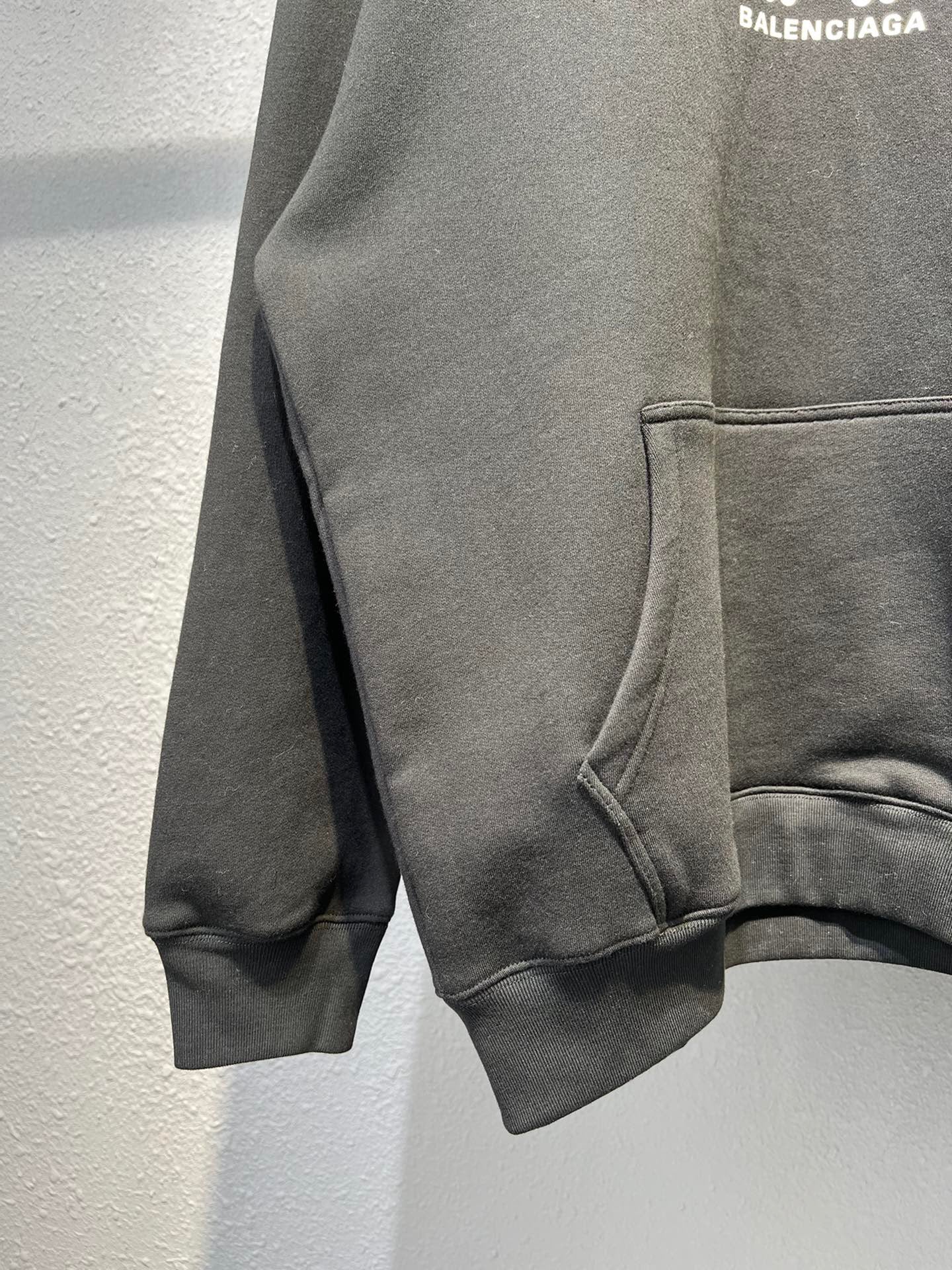 Ba1en*iaga Hoodie