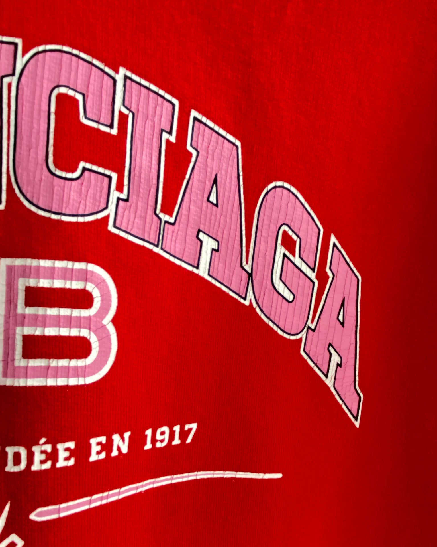Ba1en*iaga Hoodie