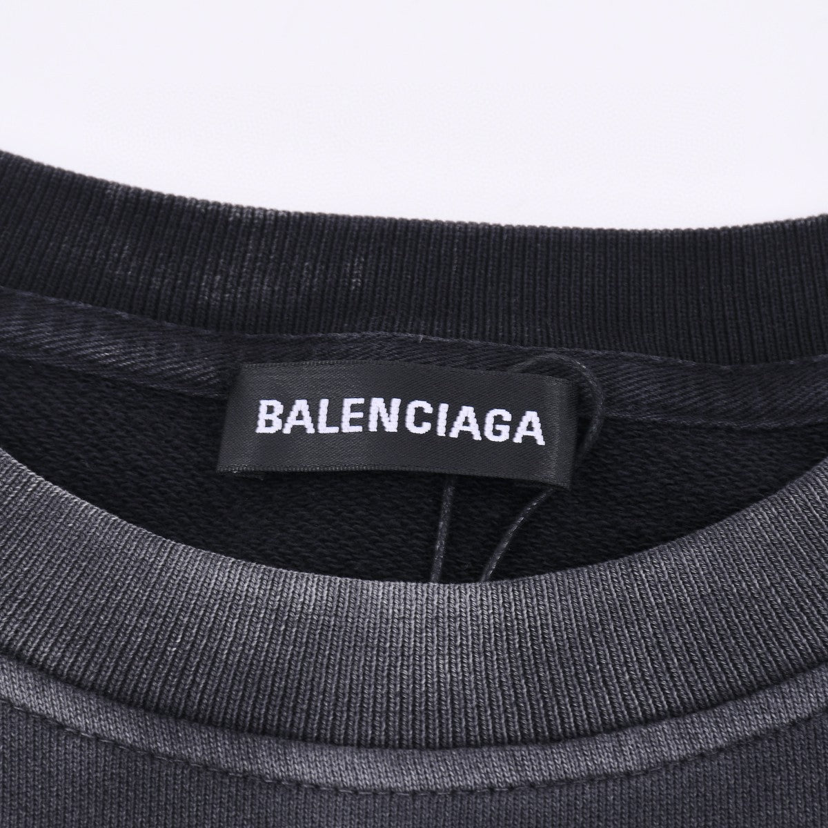 Ba1en*iaga Sweatshirt