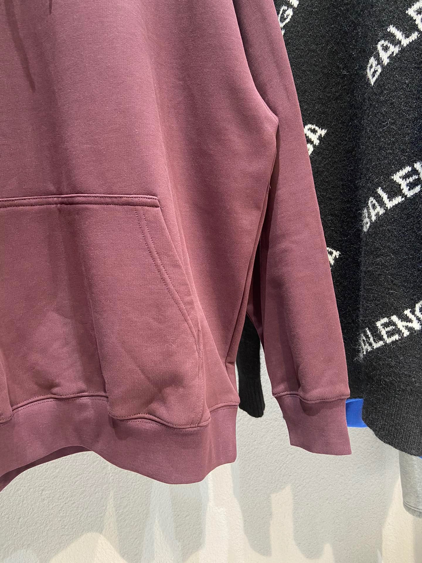 Ba1en*iaga Hoodie