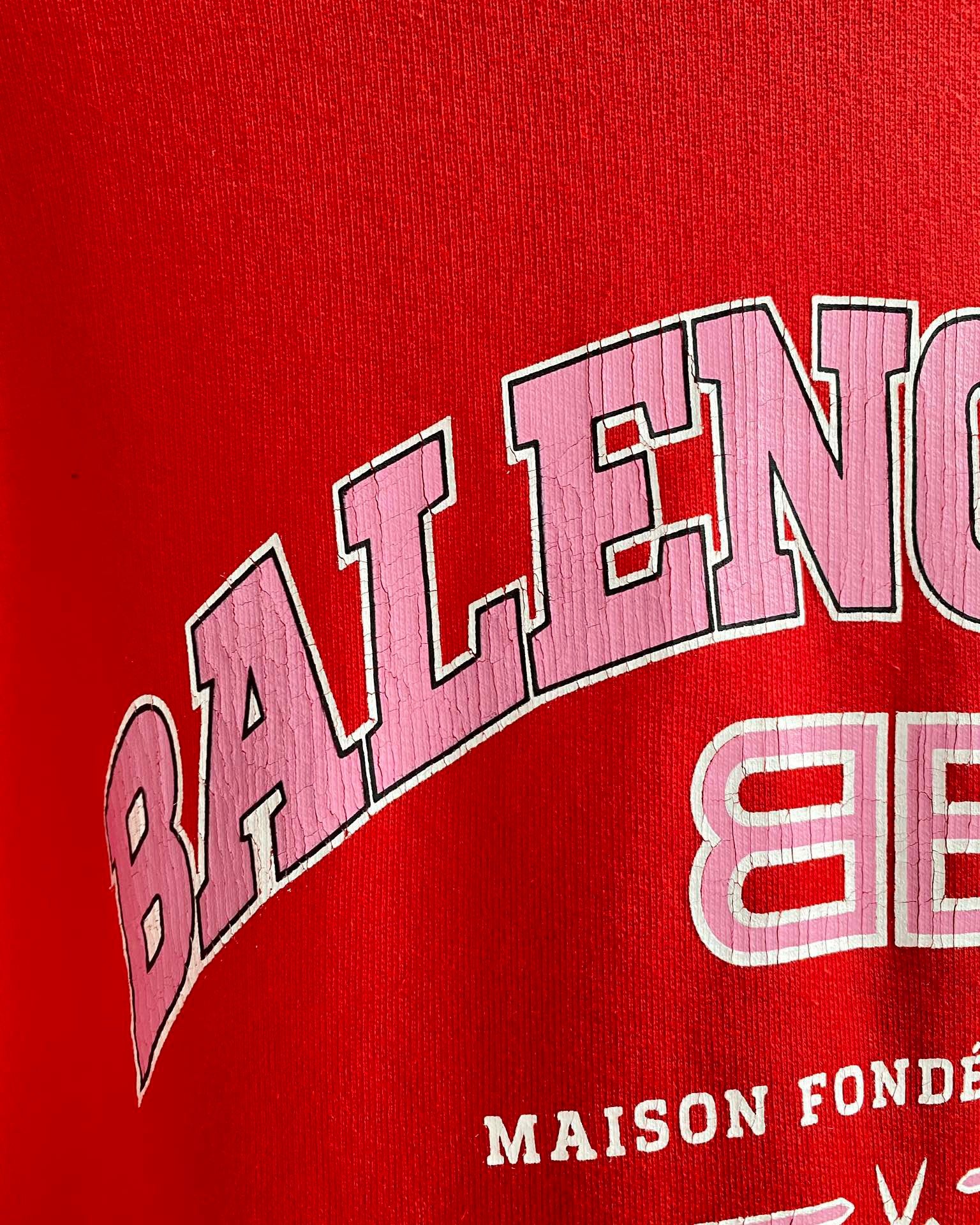 Ba1en*iaga Hoodie