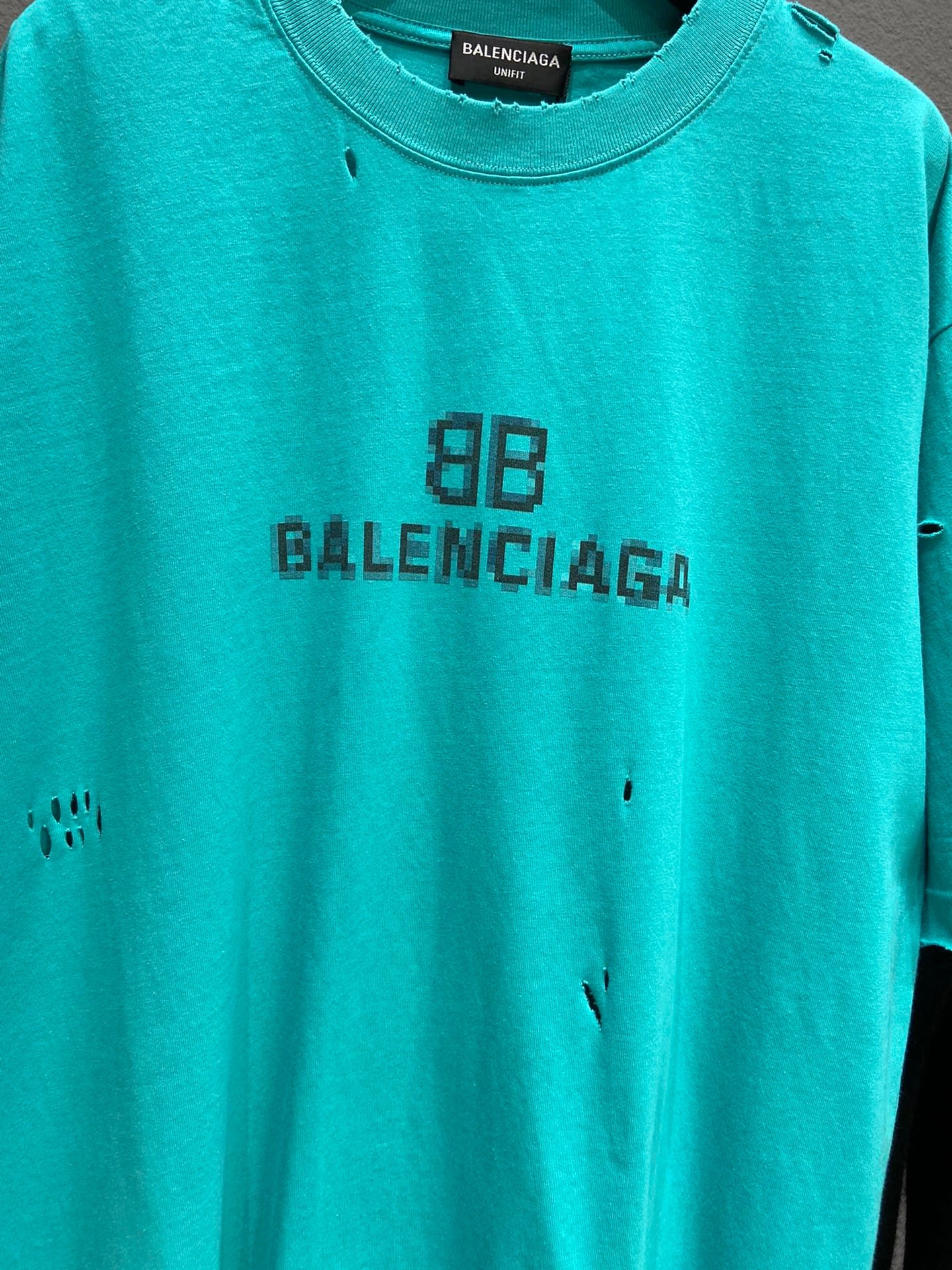 Ba1en*iaga T-shirt