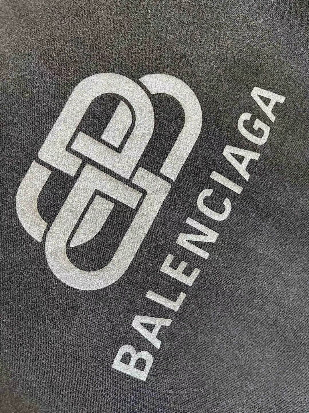 Ba1en*iaga T-shirt