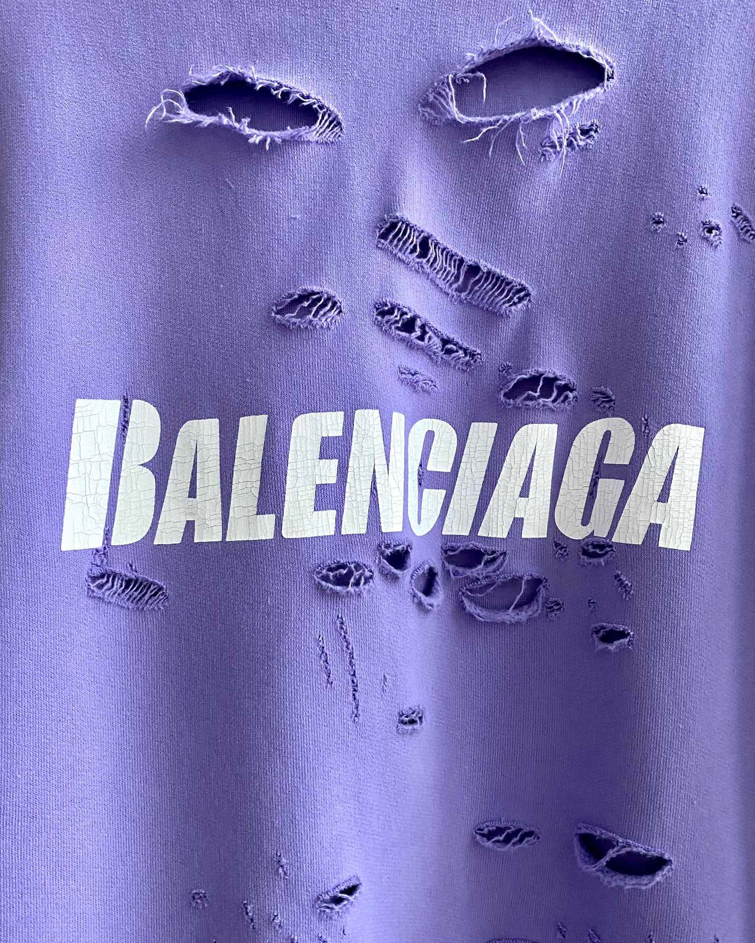 Ba1en*iaga Hoodie