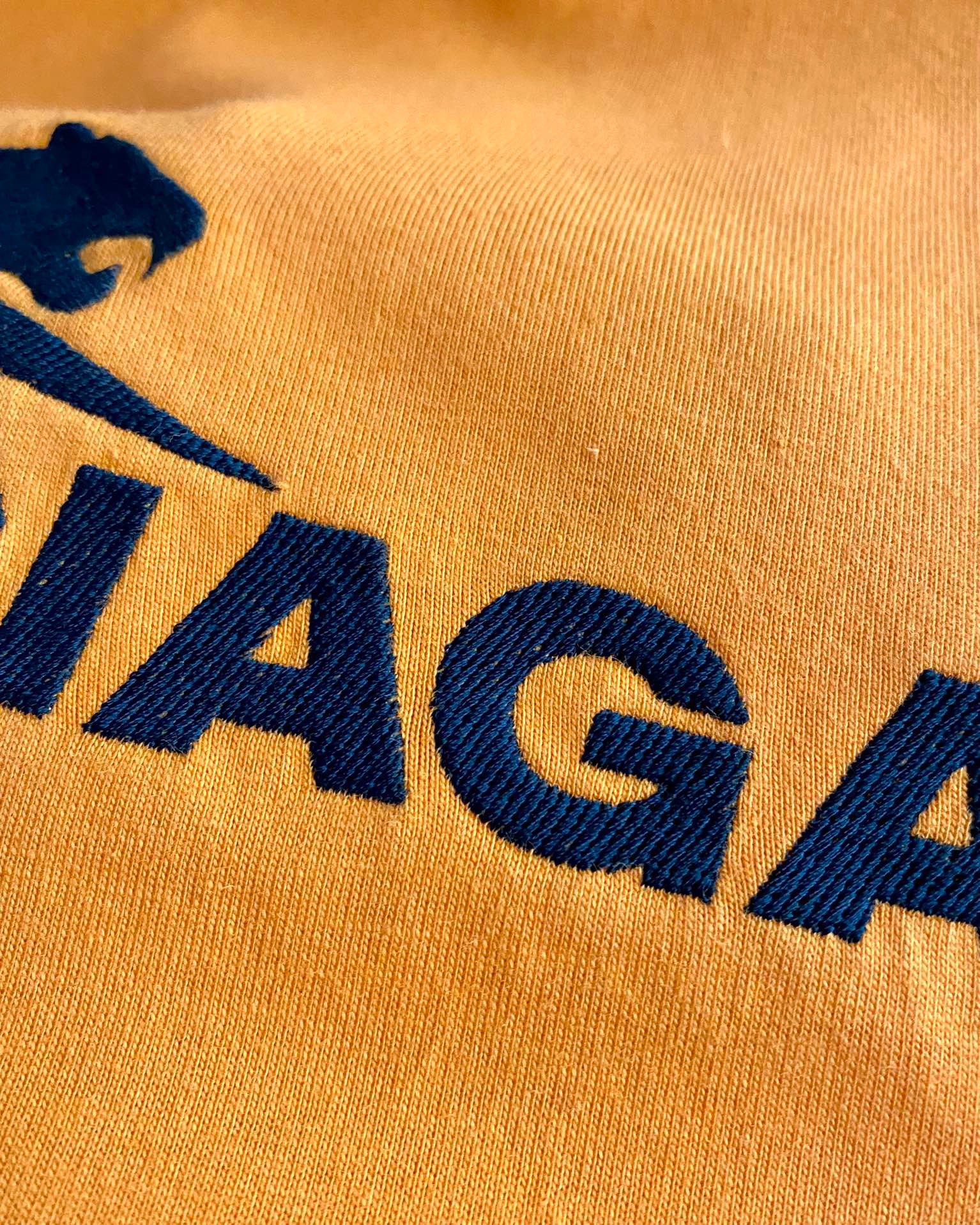 Ba1en*iaga T-shirt