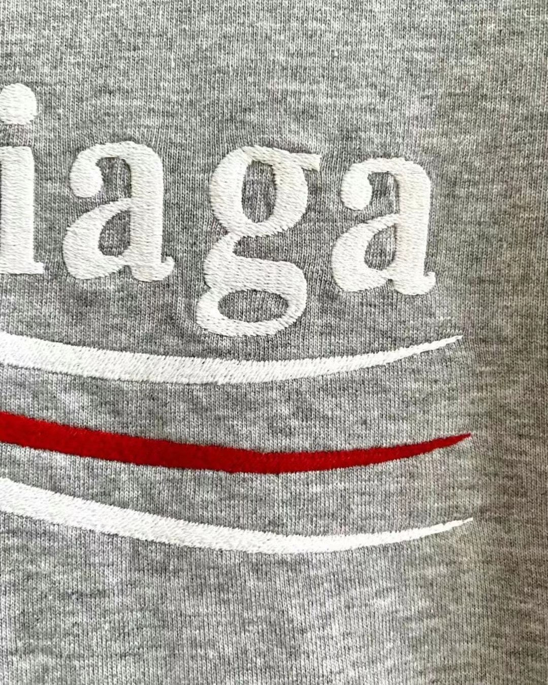 Ba1en*iaga T-shirt
