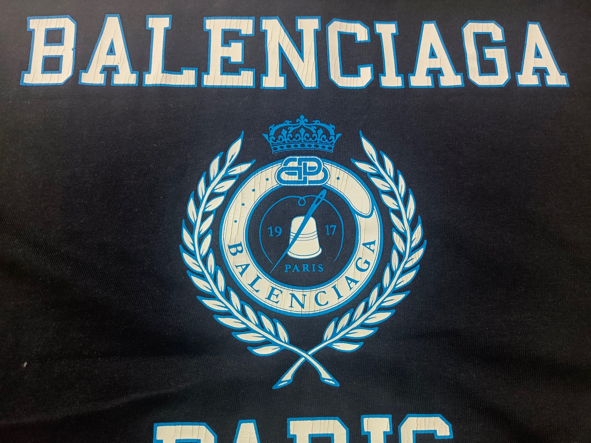Ba1en*iaga T-shirt