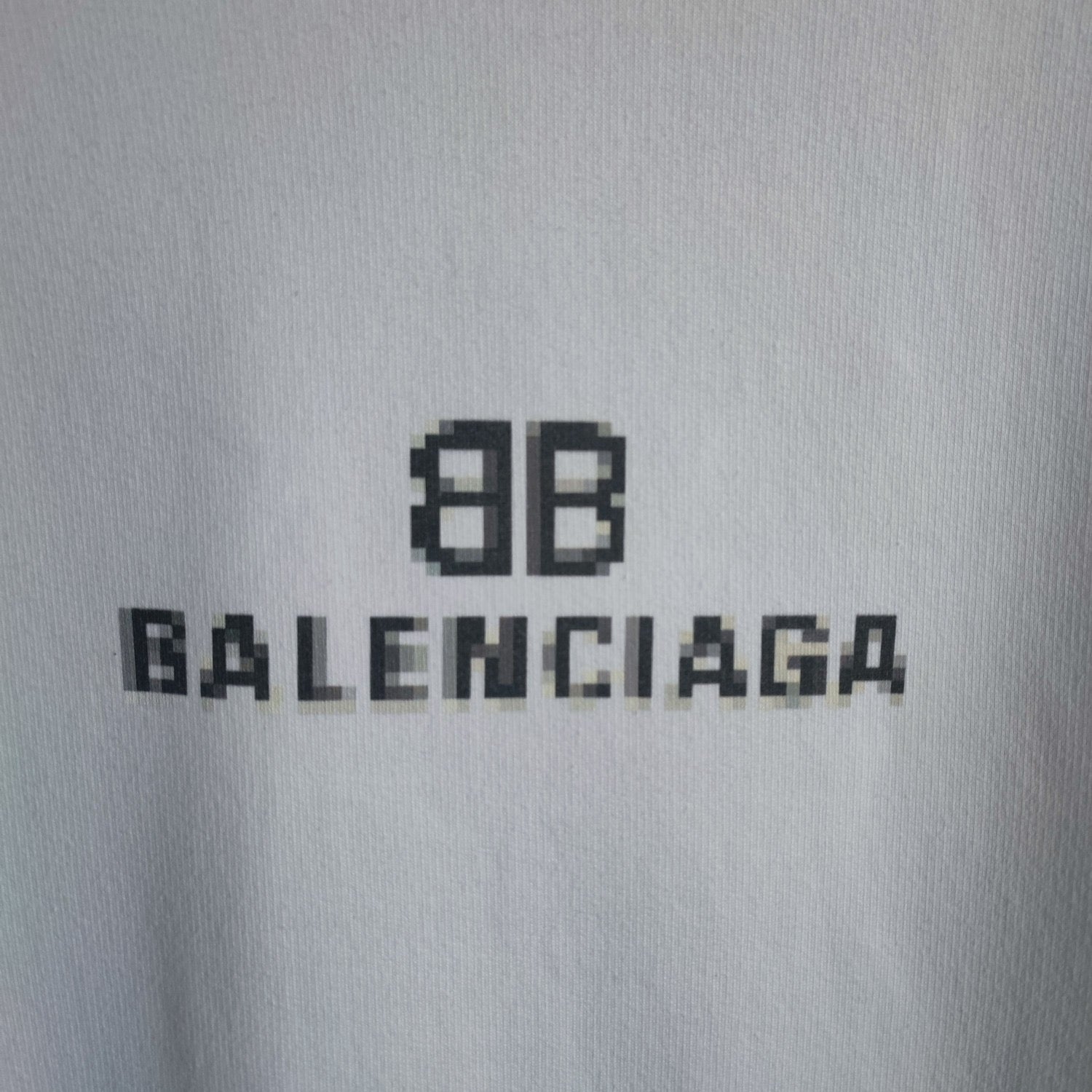 Ba1en*iaga Hoodie