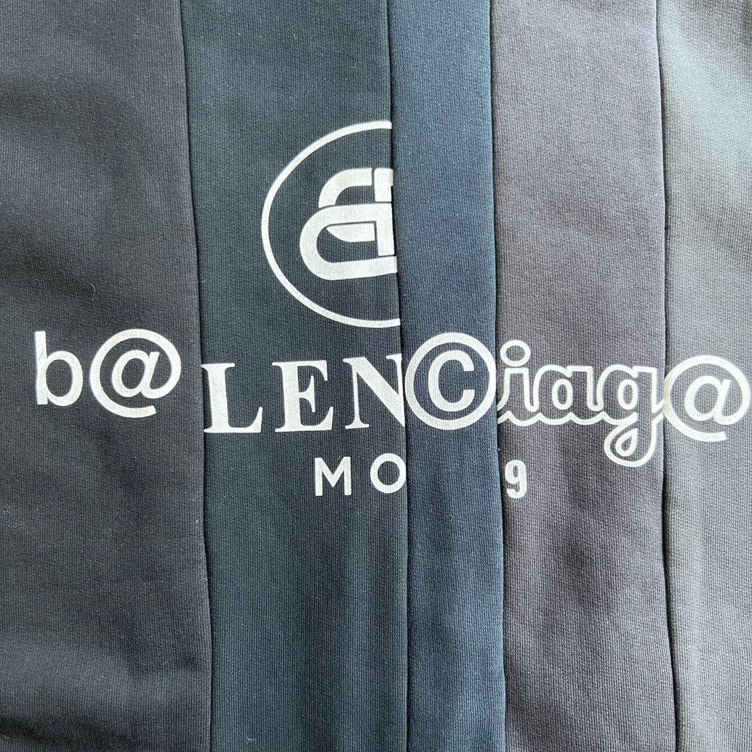 Ba1en*iaga Hoodie