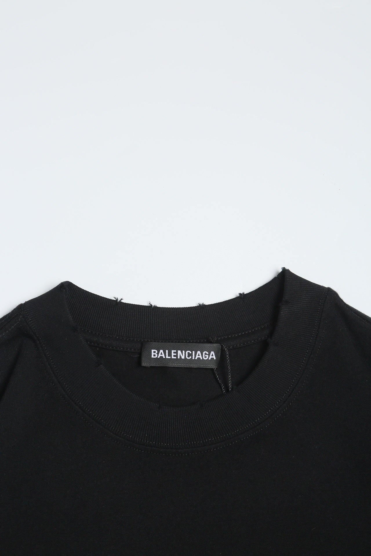 Ba1en*iaga T-shirt