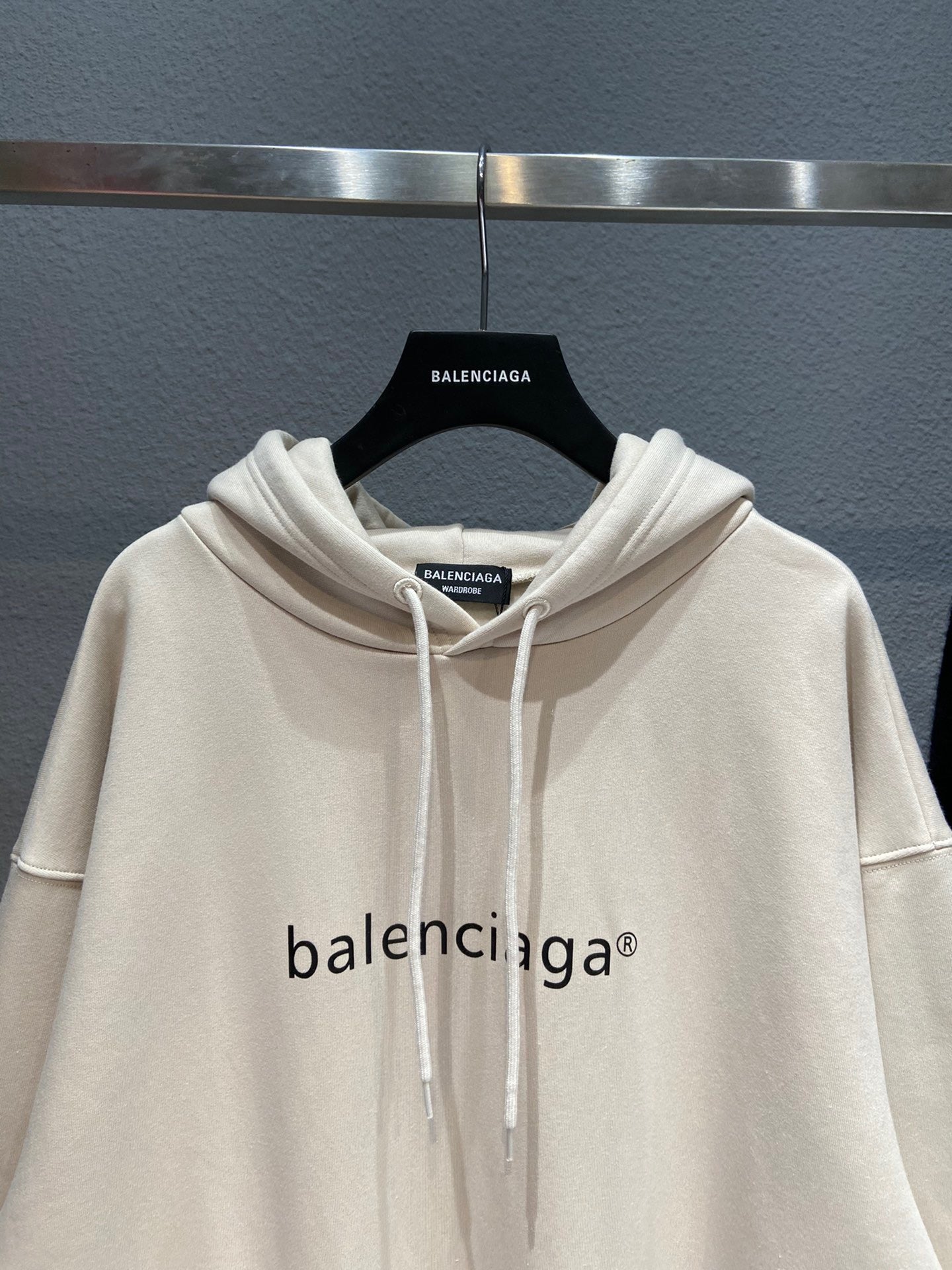 Ba1en*iaga Hoodie