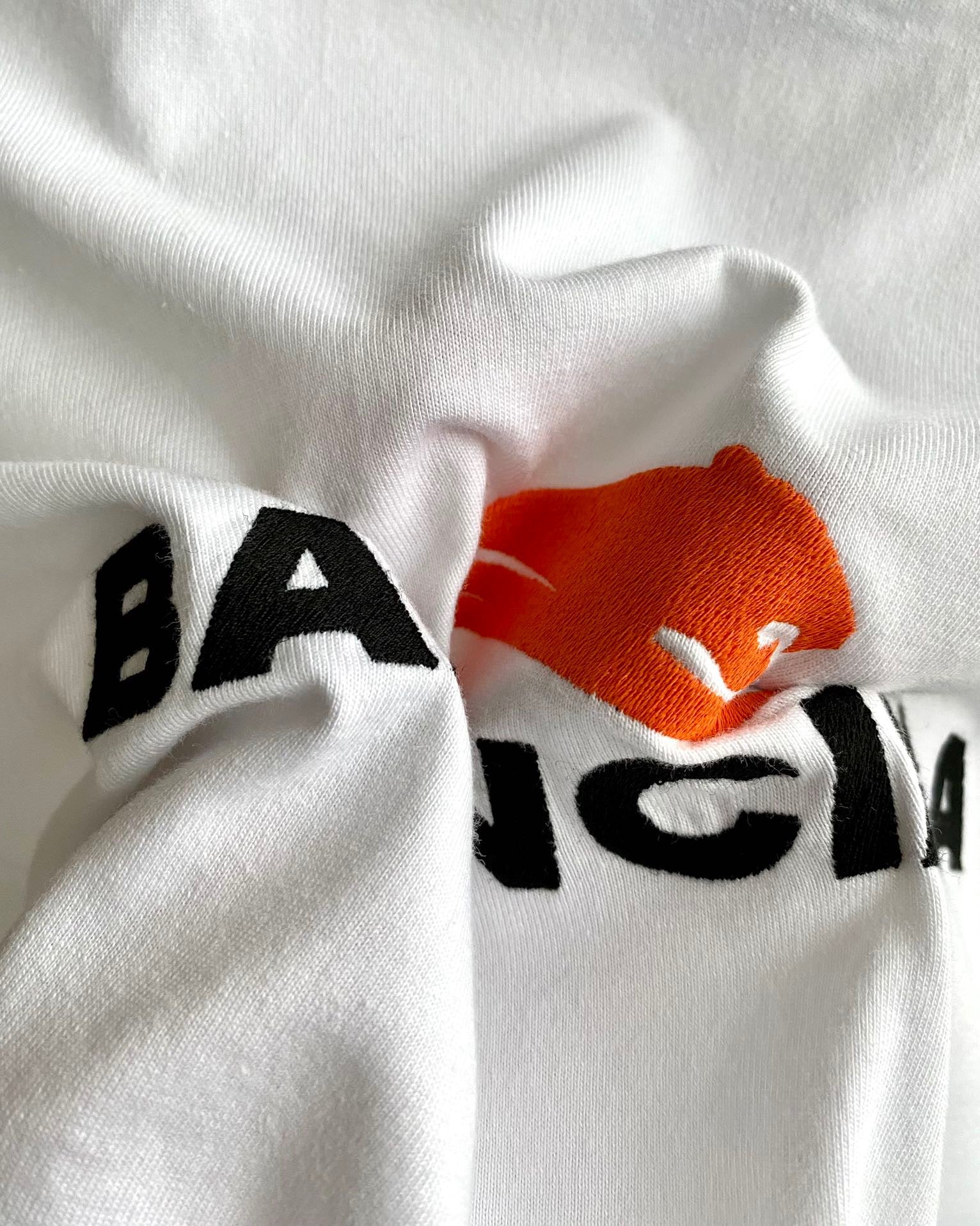 Ba1en*iaga T-shirt